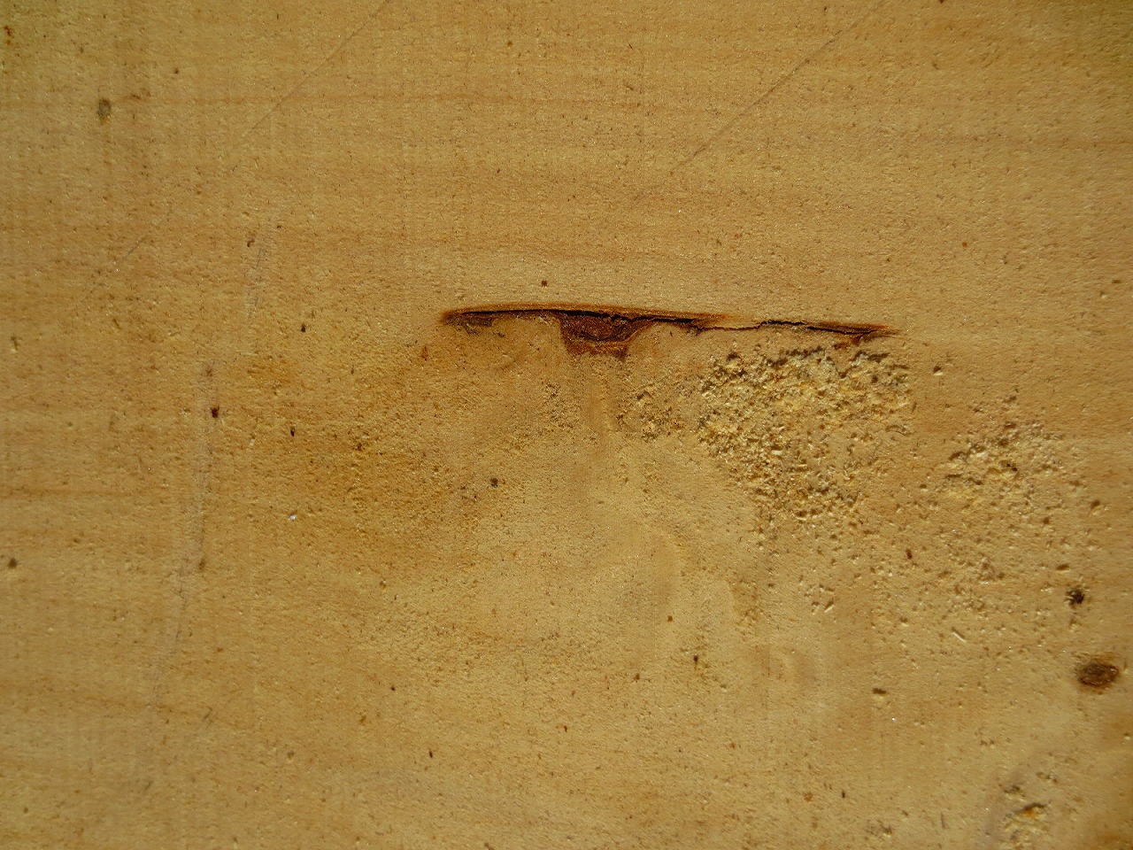 3209C119