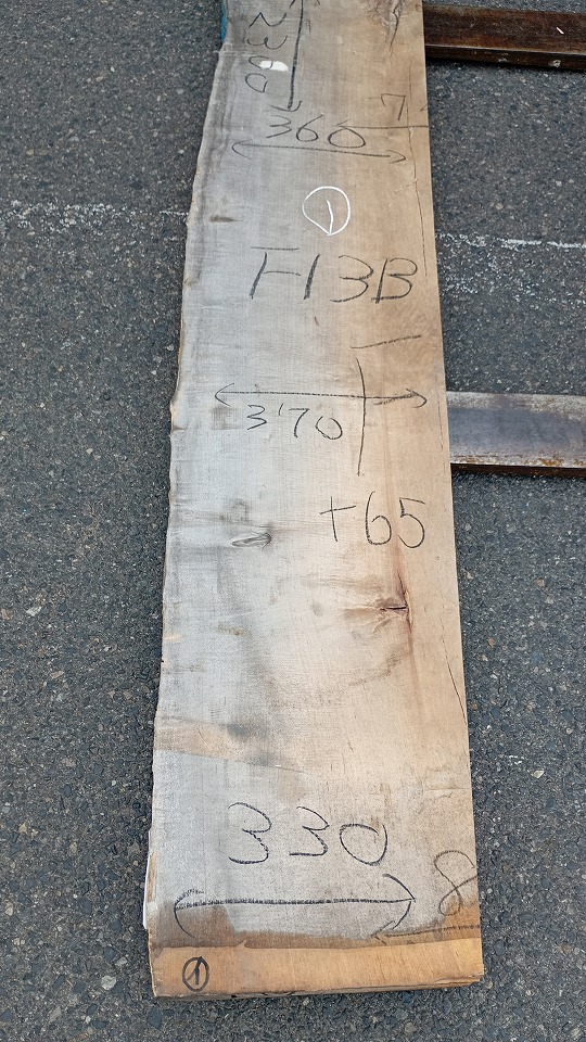 3501F13B