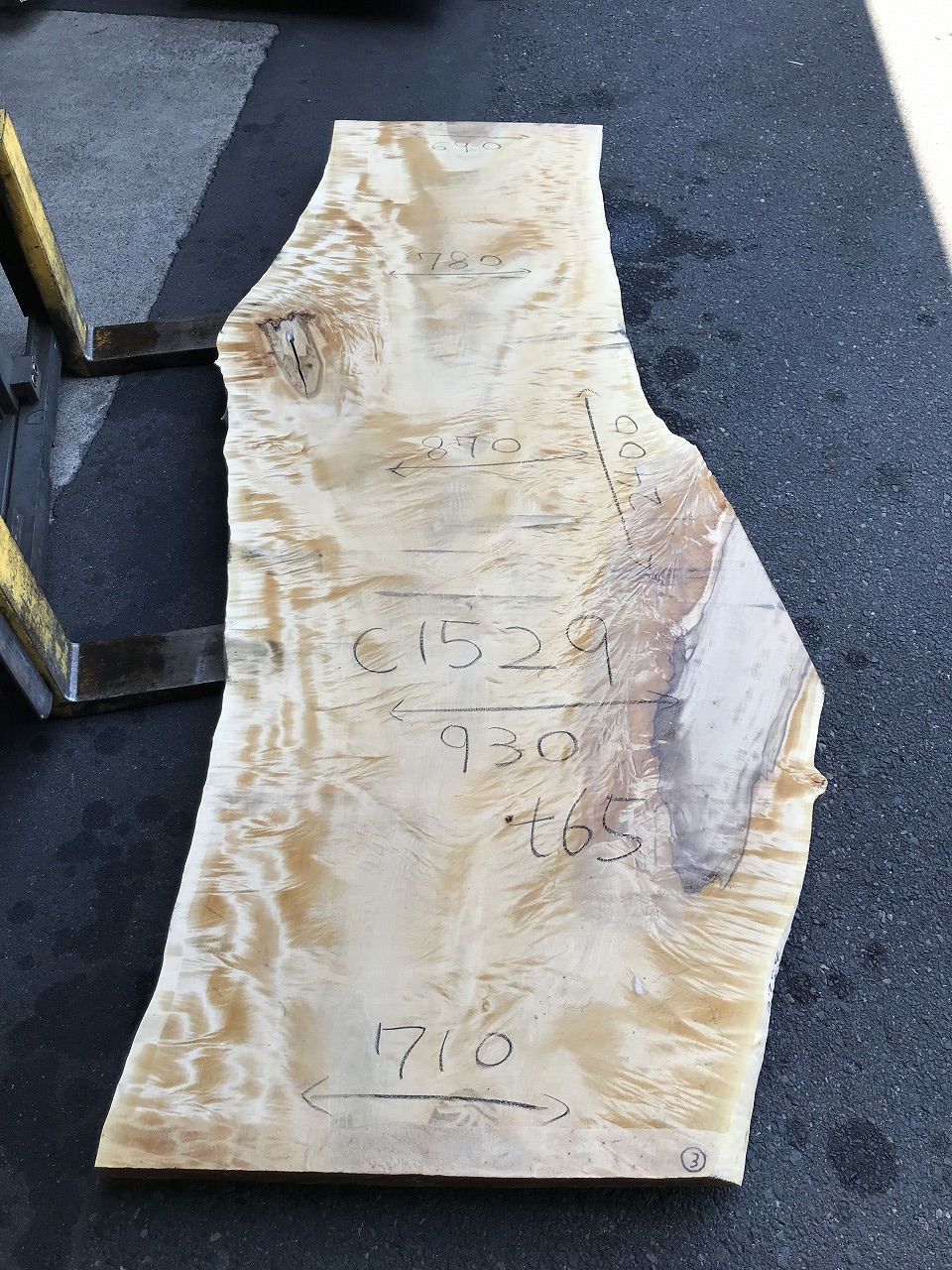 3704C1529
