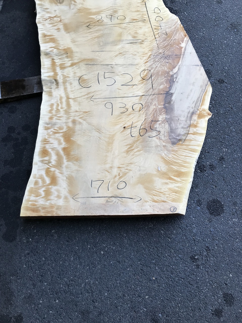 3704C1529
