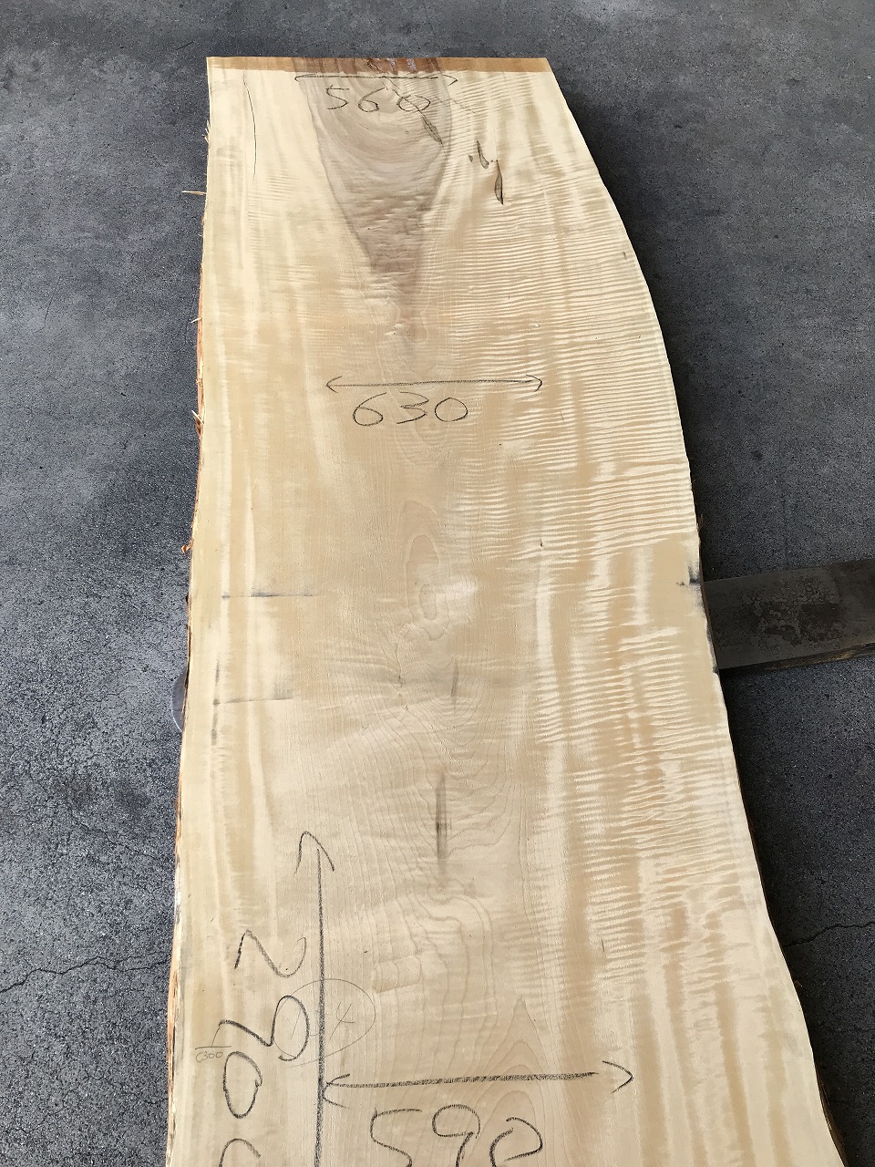 3704C300