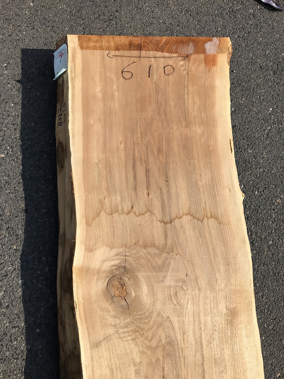 3704C308