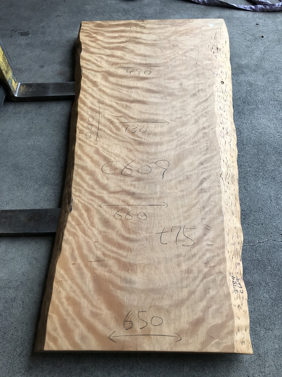 3704C609