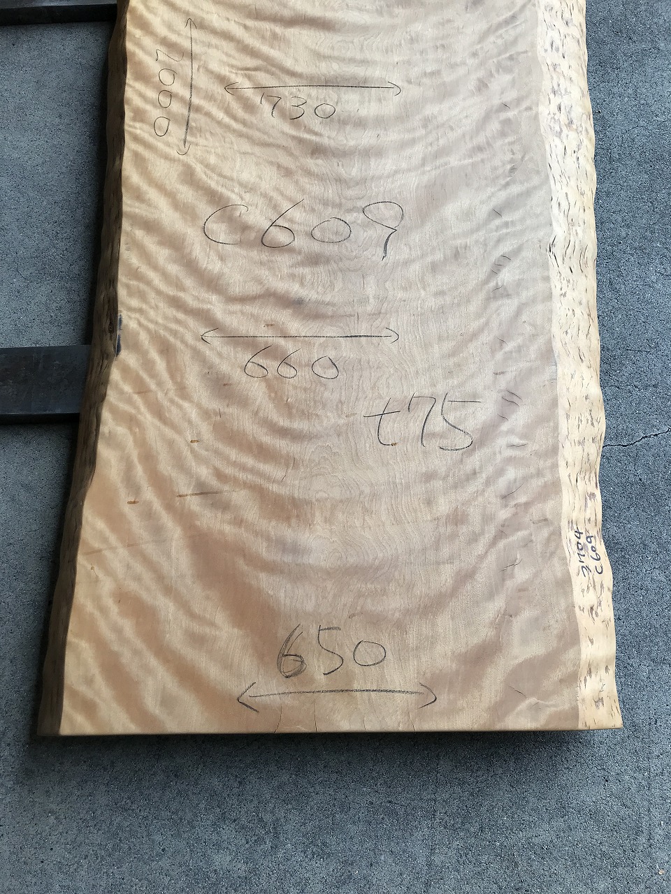 3704C609