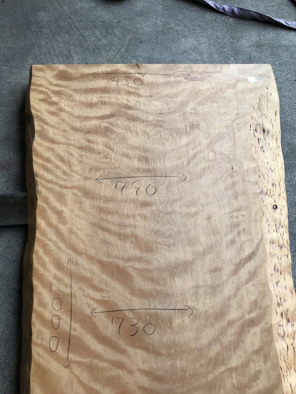 3704C609