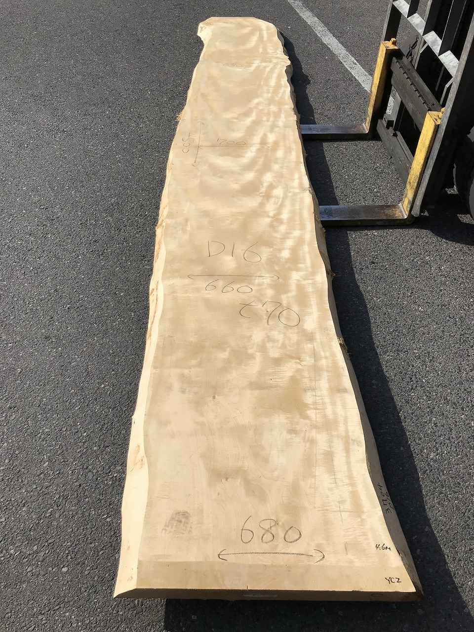 3704D16
