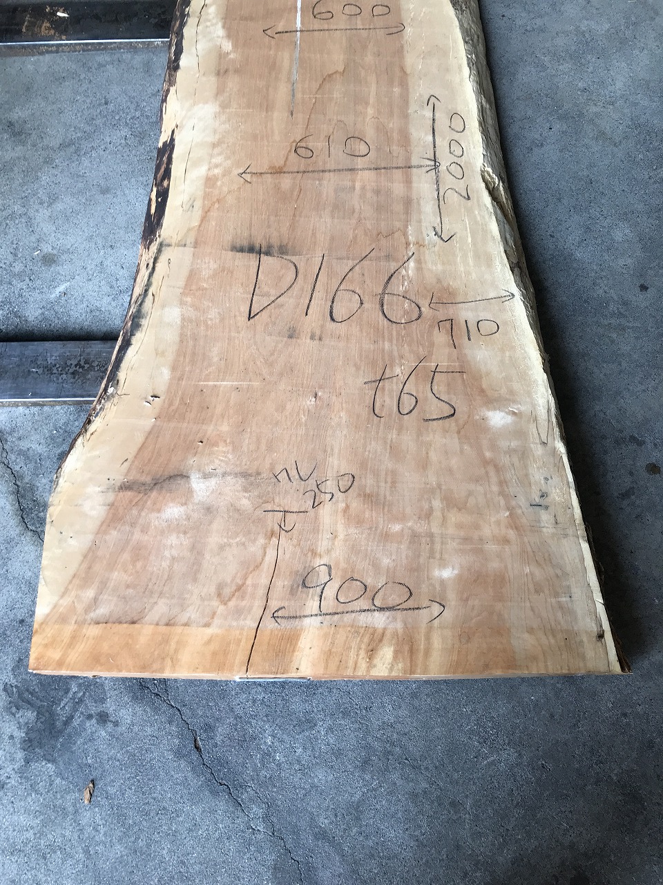3704D166