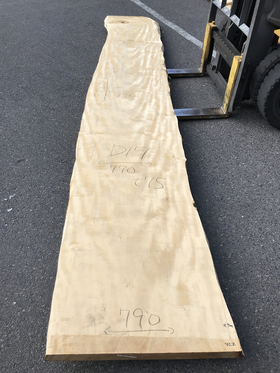 3704D17
