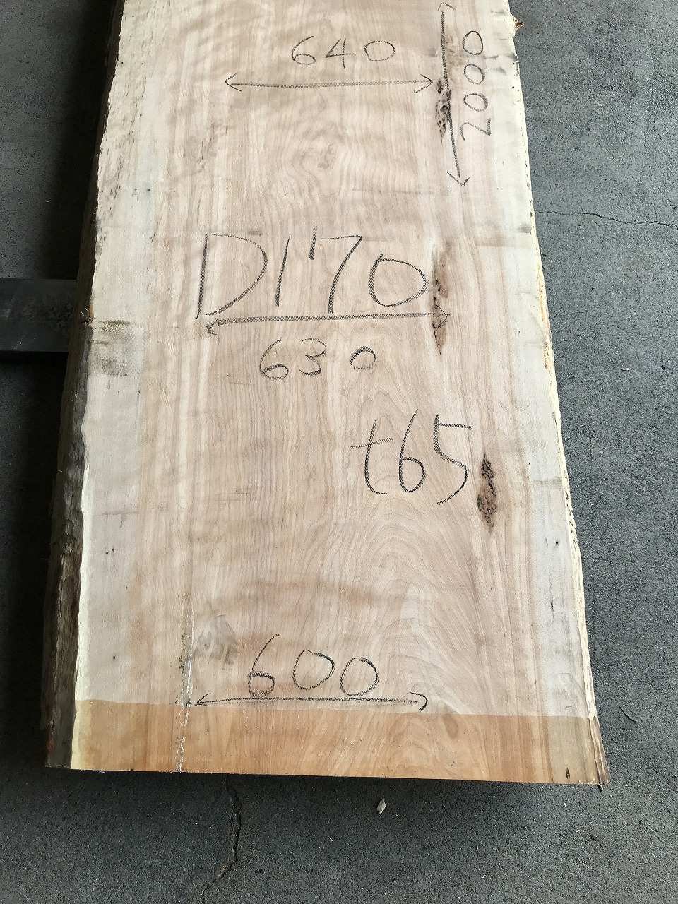 3704D170