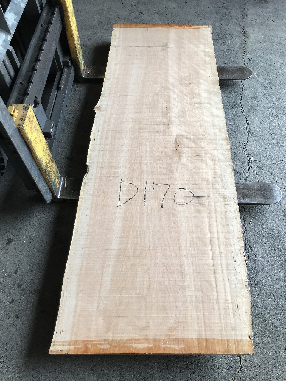 3704D170