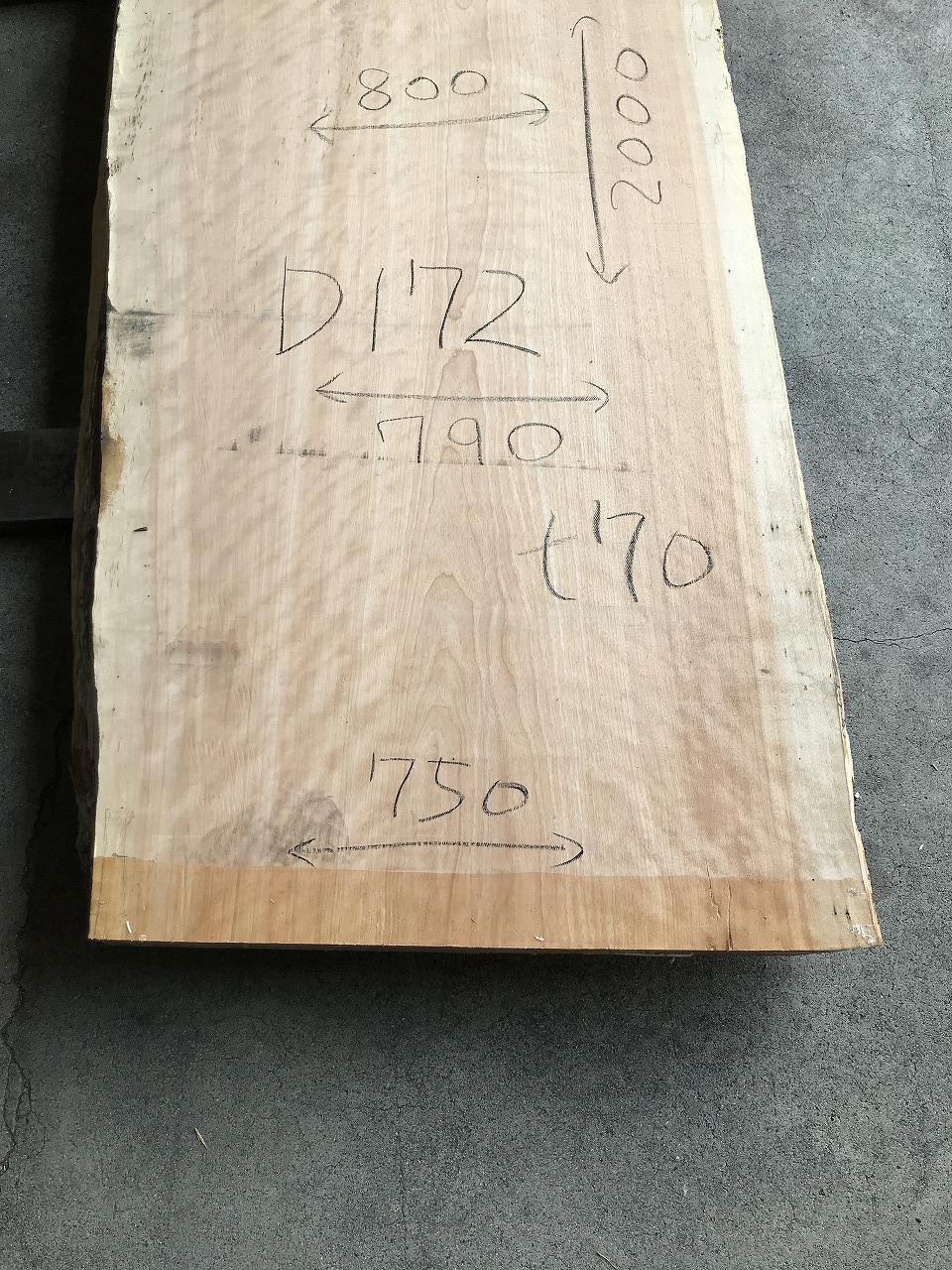 3704D172