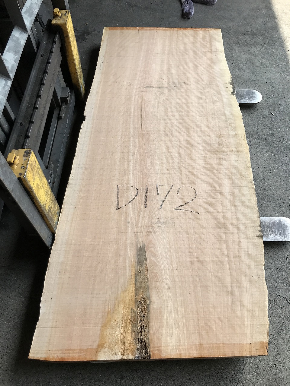 3704D172
