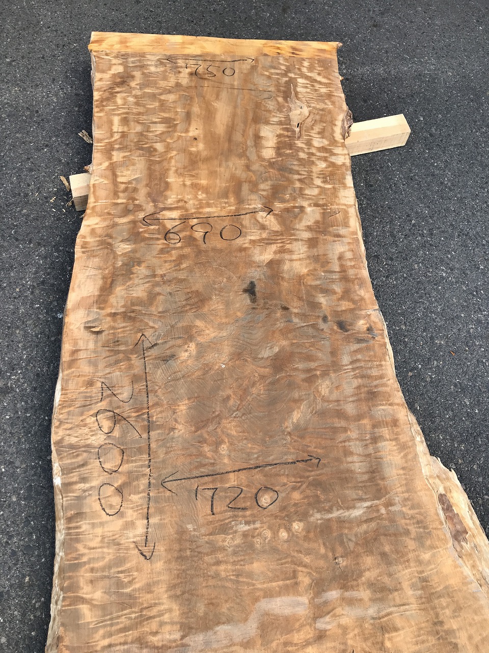 3704D277