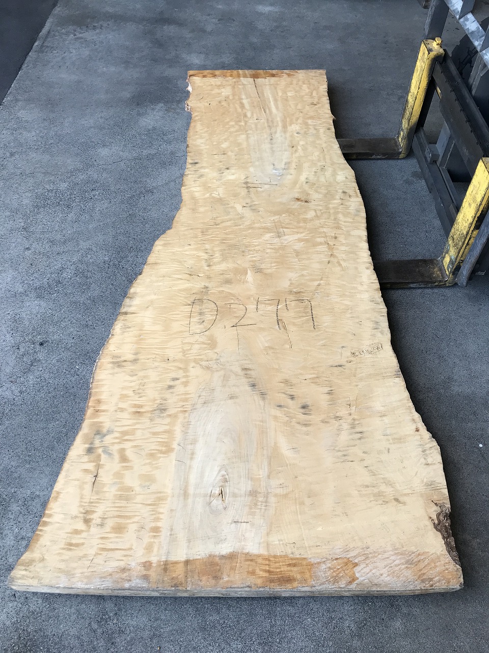 3704D277