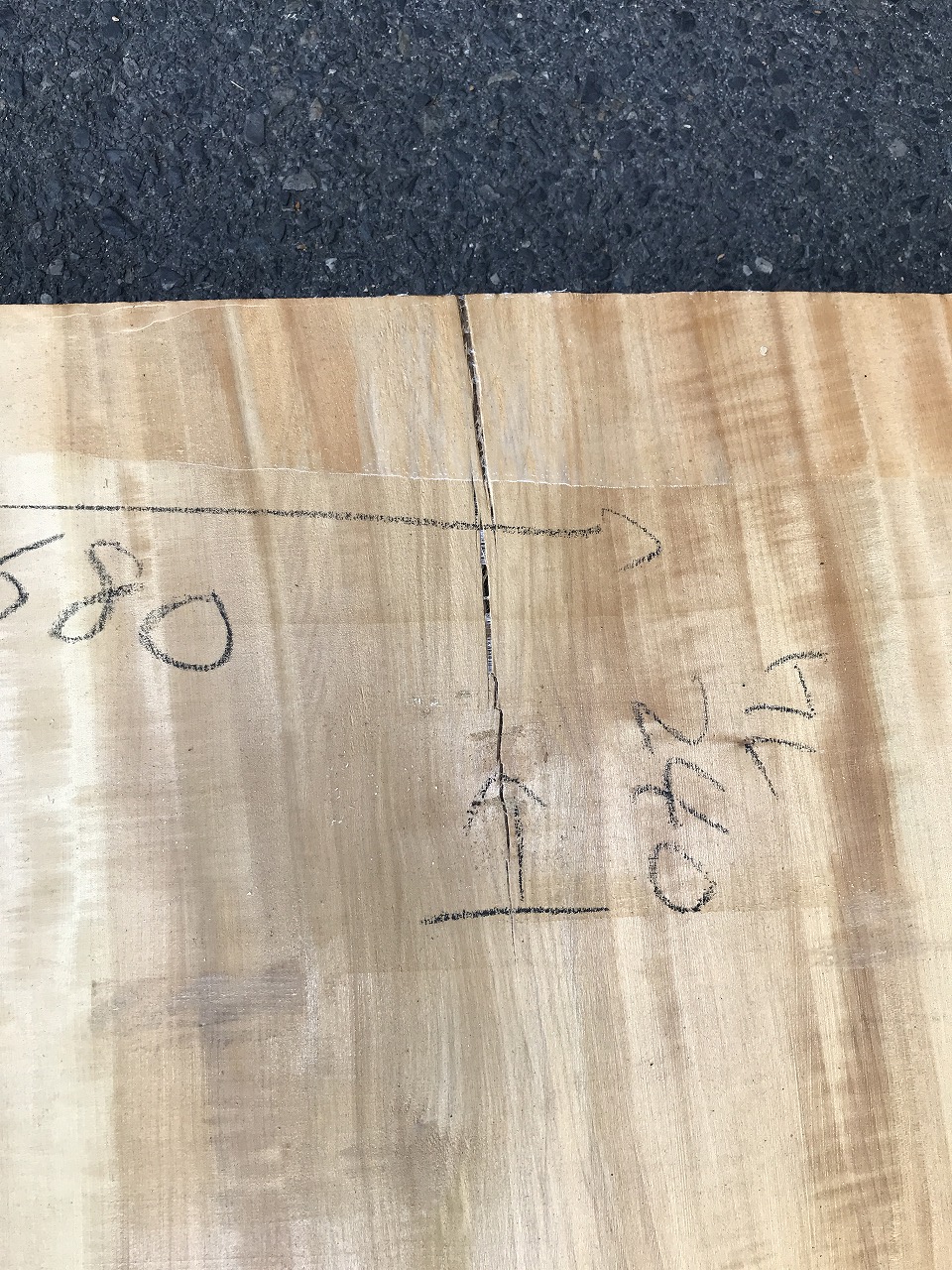 3704F101