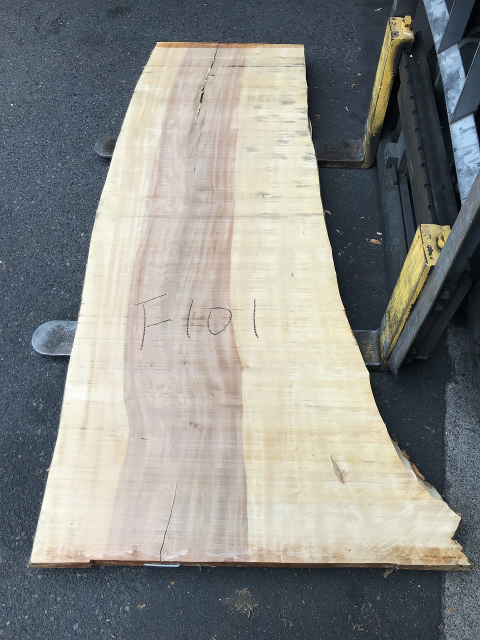 3704F101