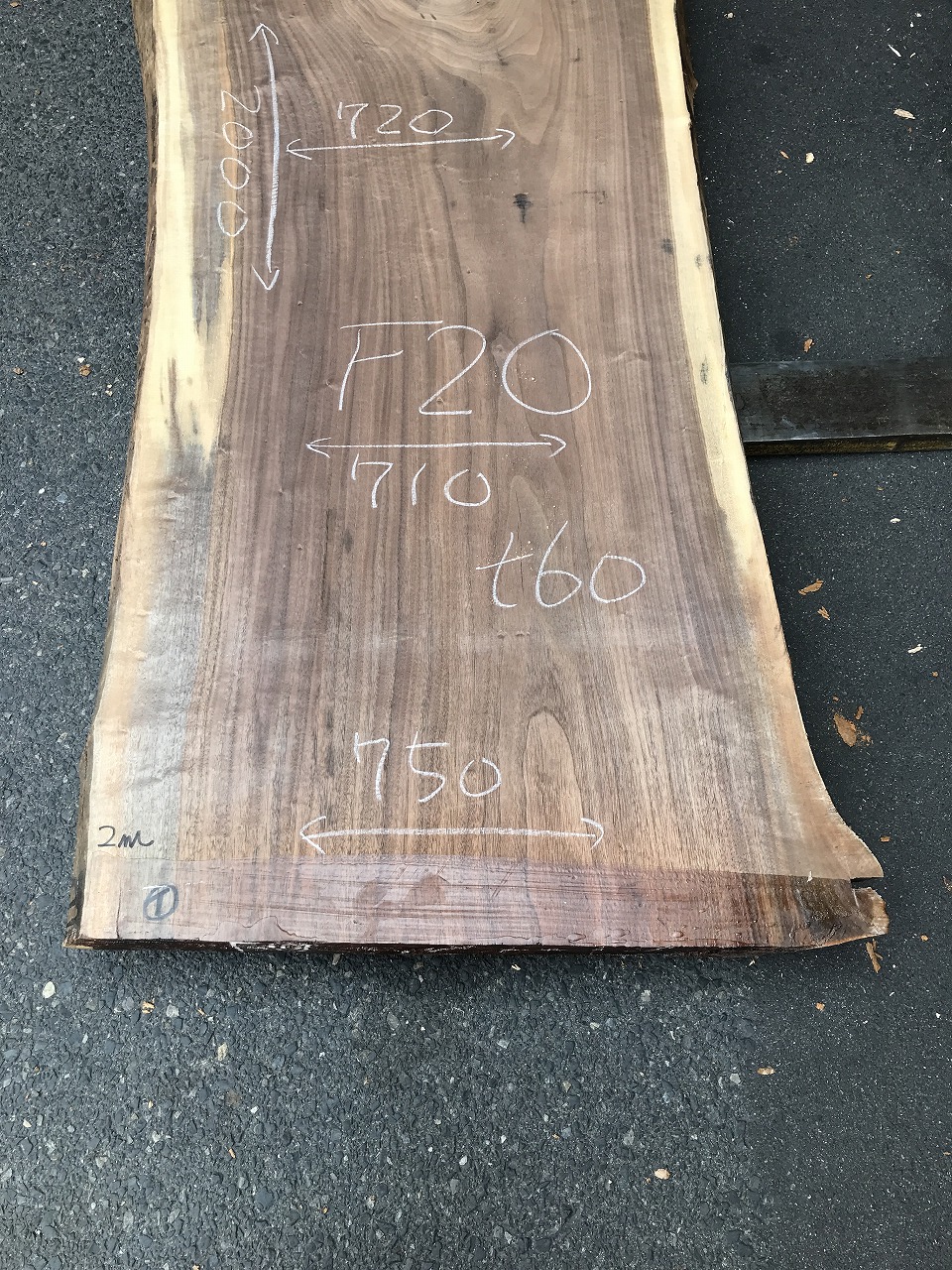 3704F20
