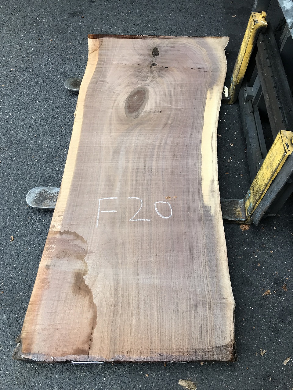 3704F20