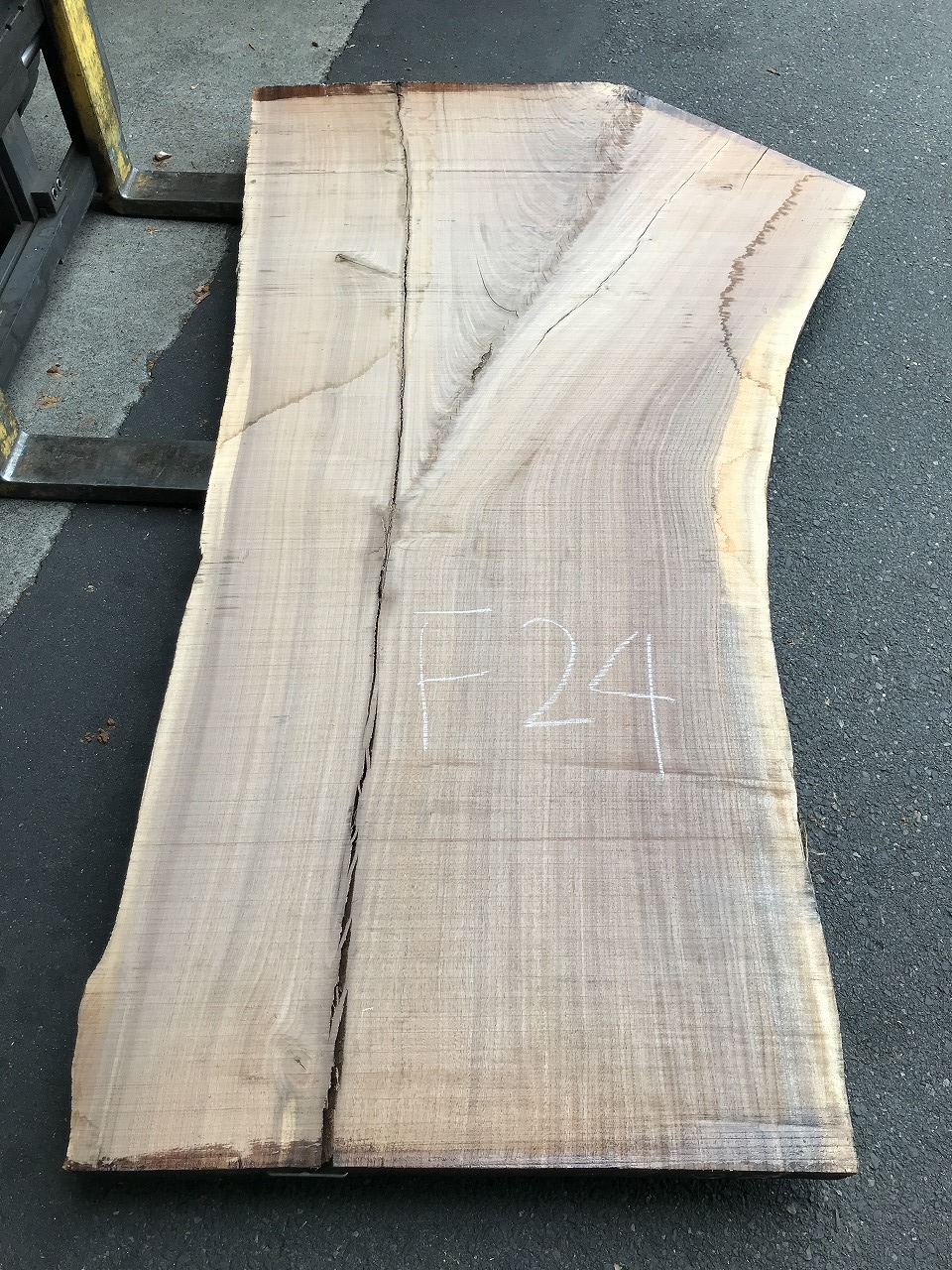 3704F24