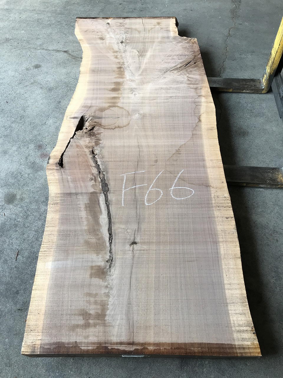 3704F66