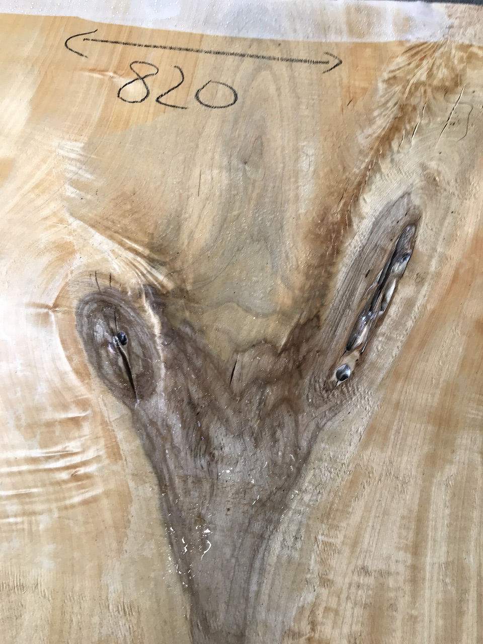 3705C1529