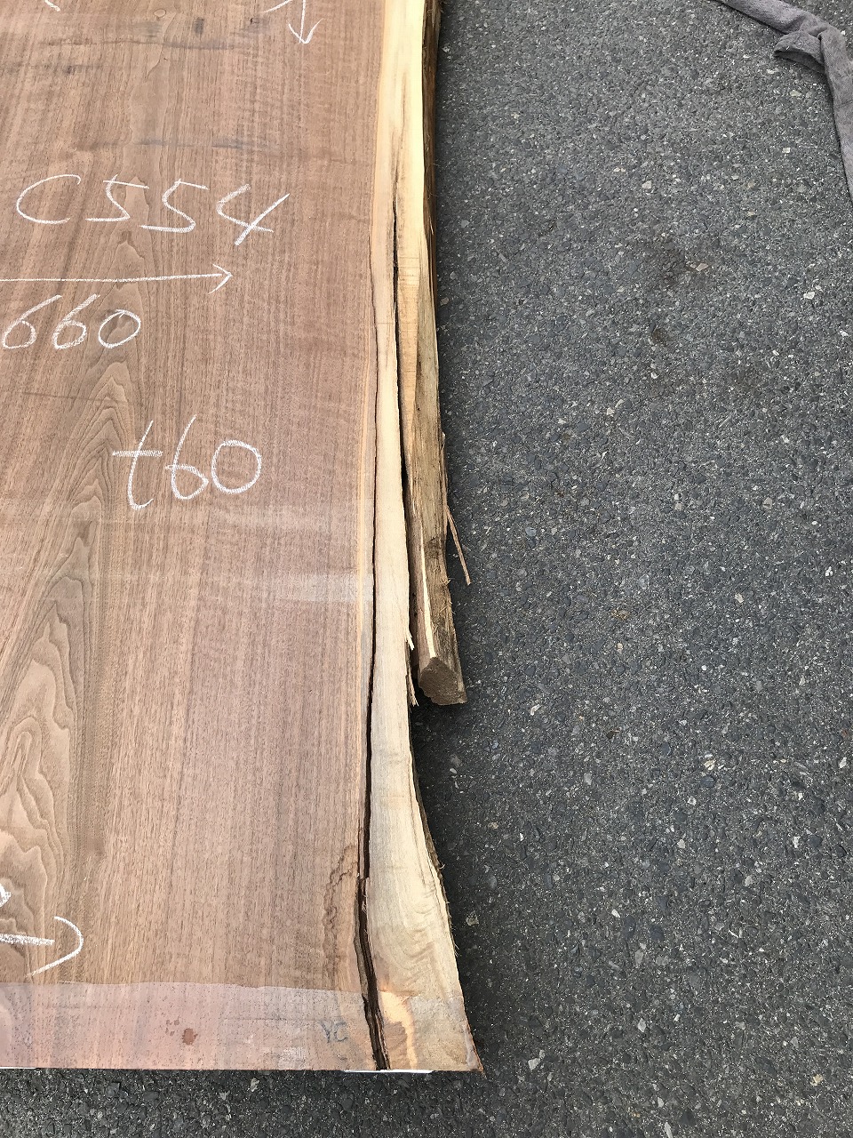 3705C554
