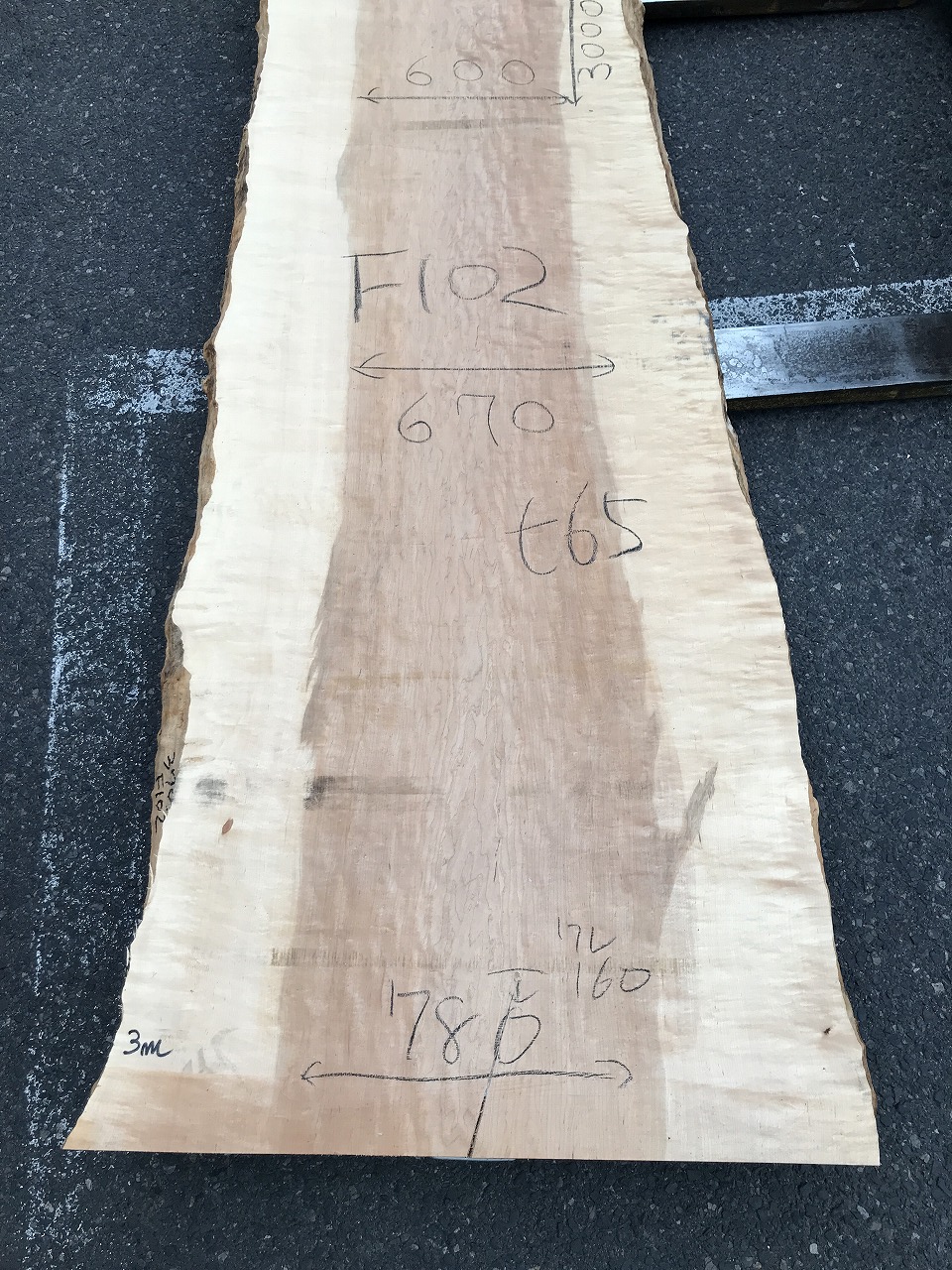 3705F102