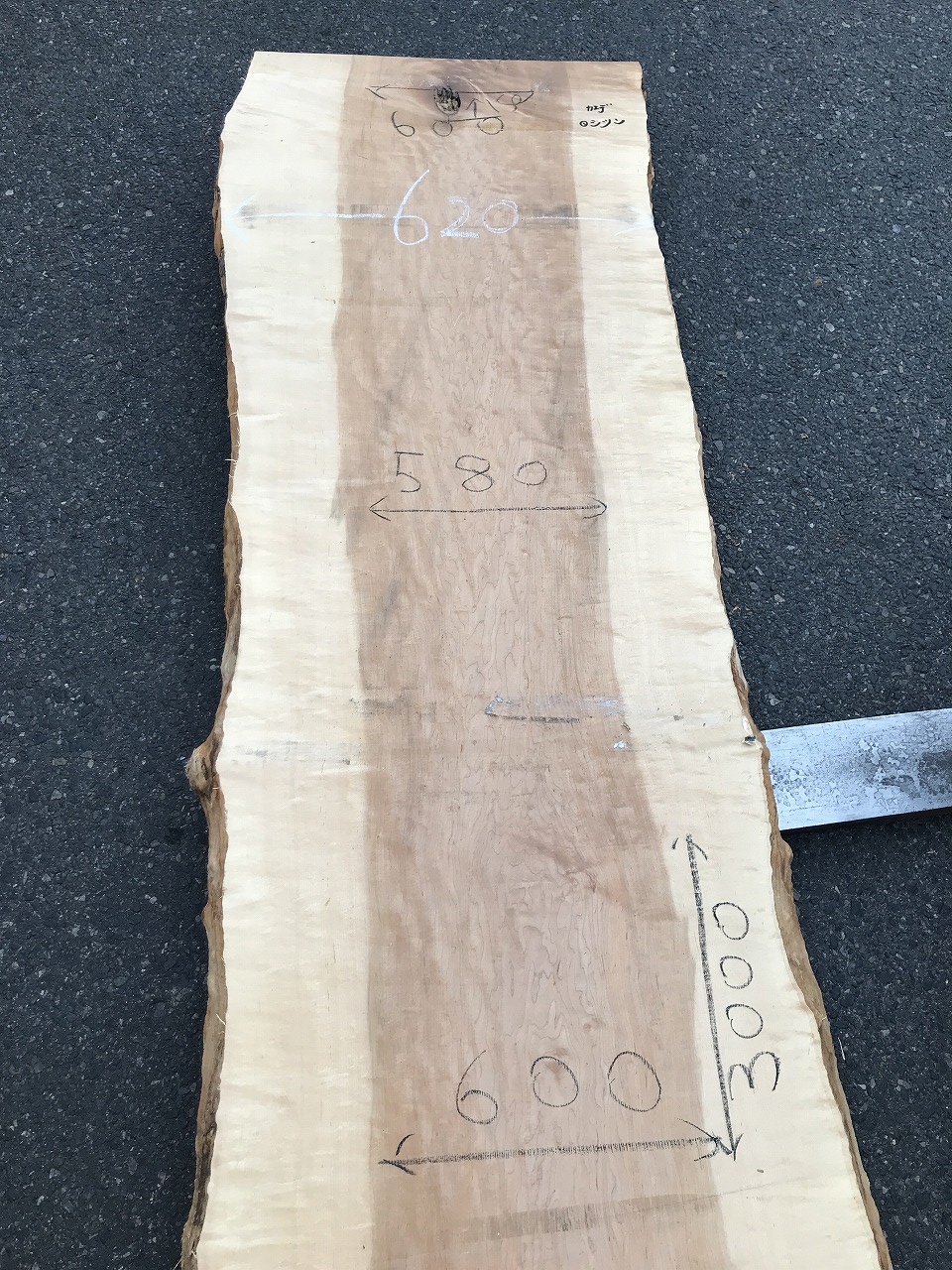 3705F102