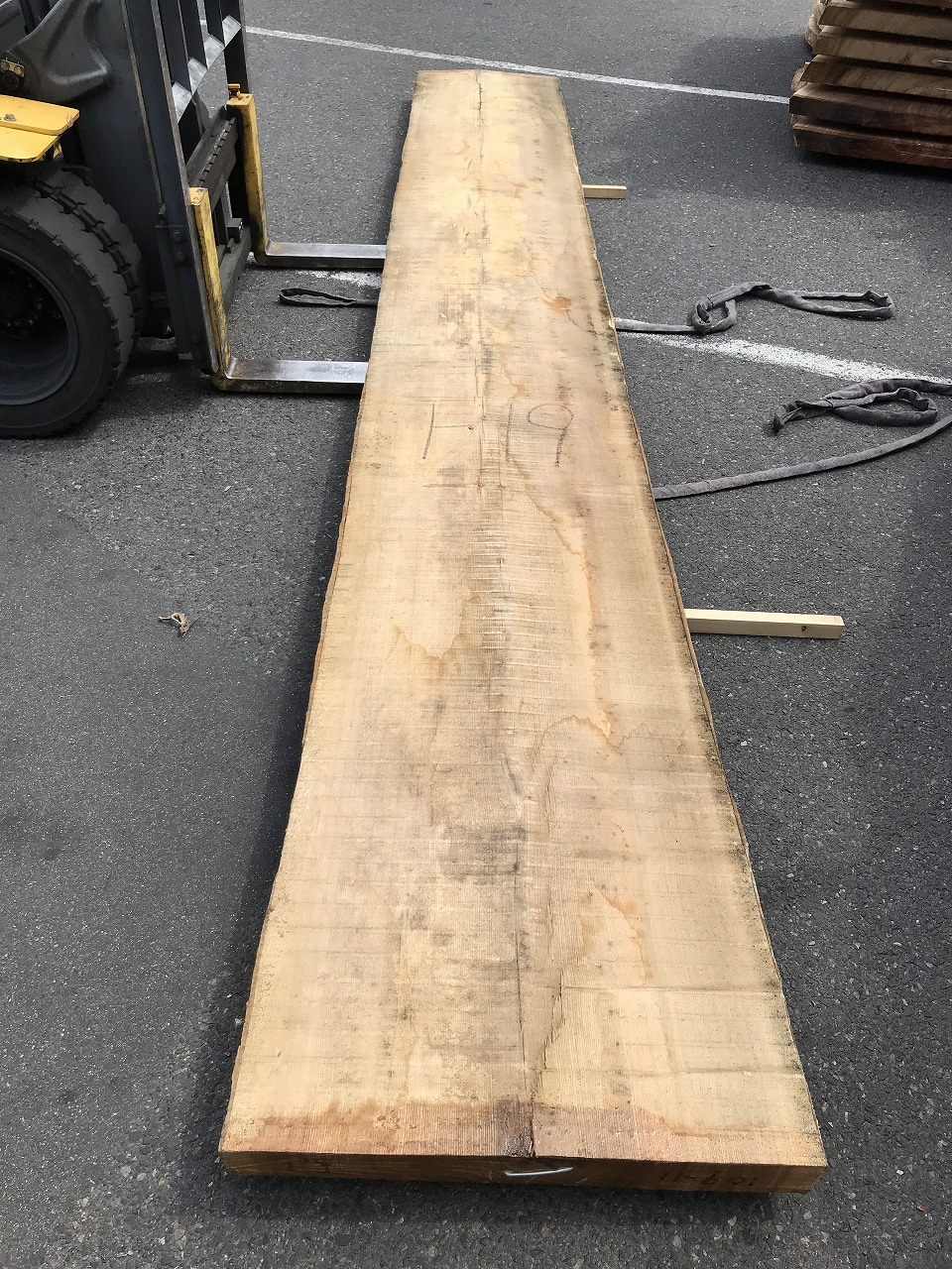 3705F19