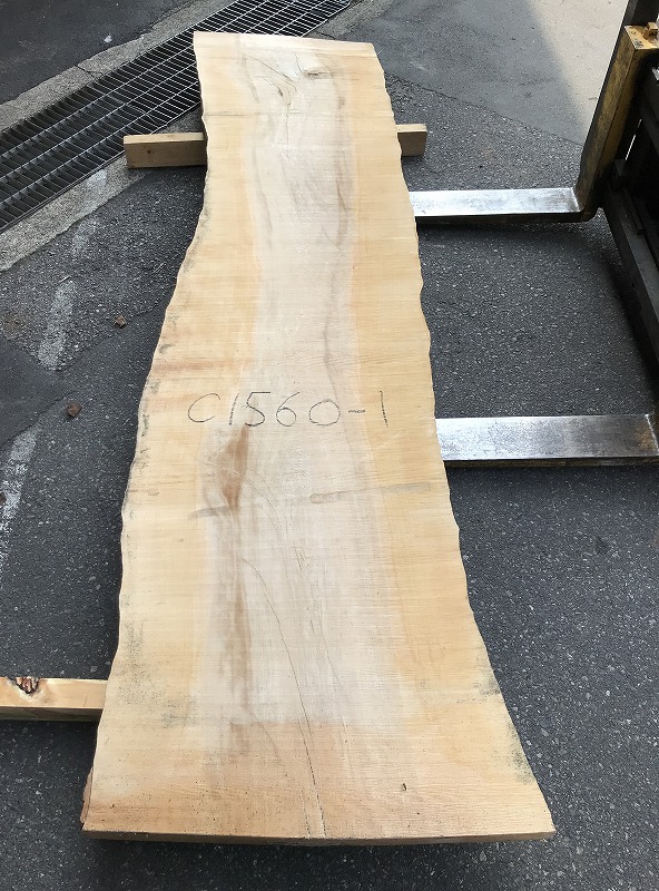3706C1560-1