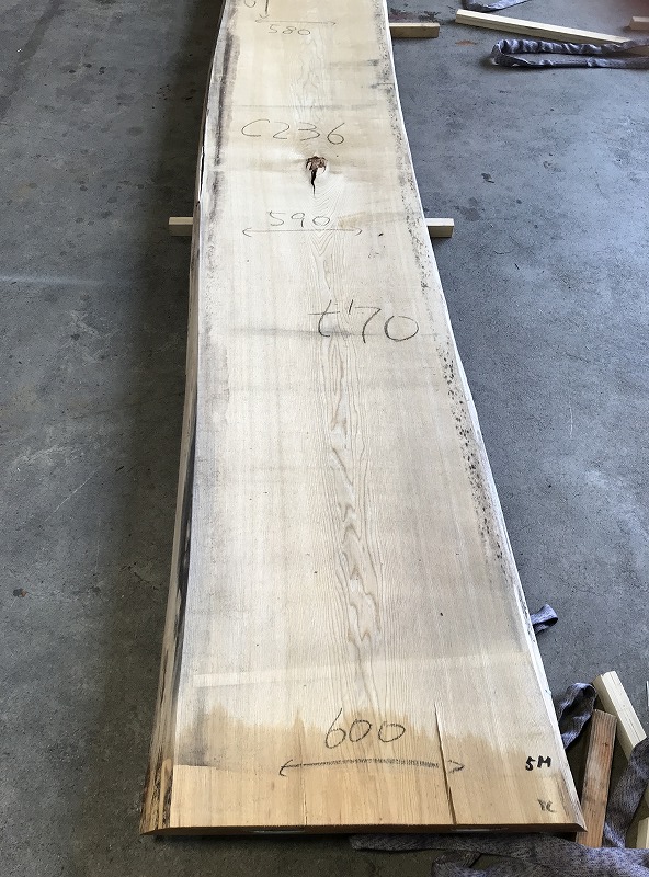 3707C236