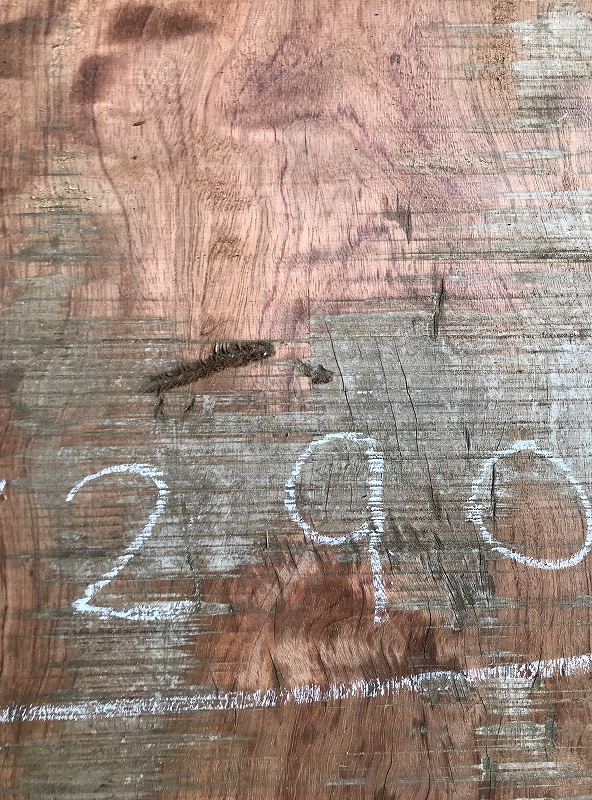 3707C666