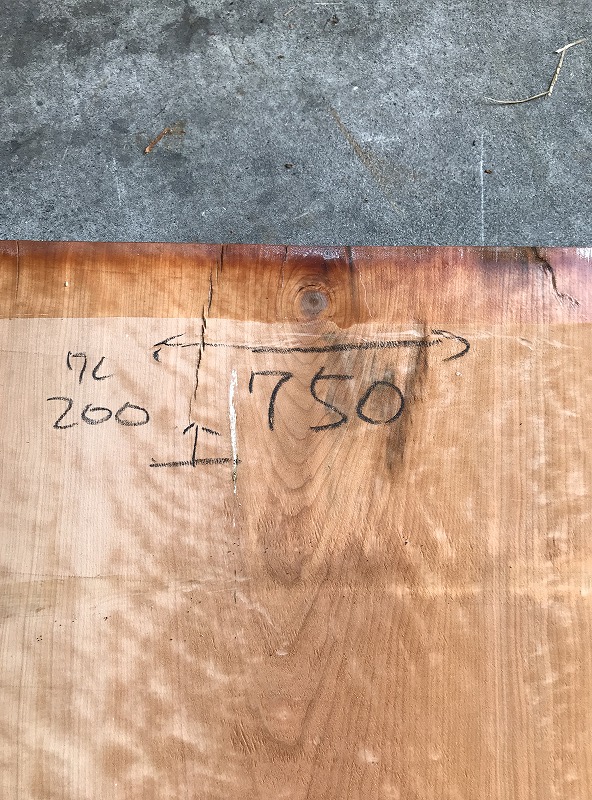3707D166