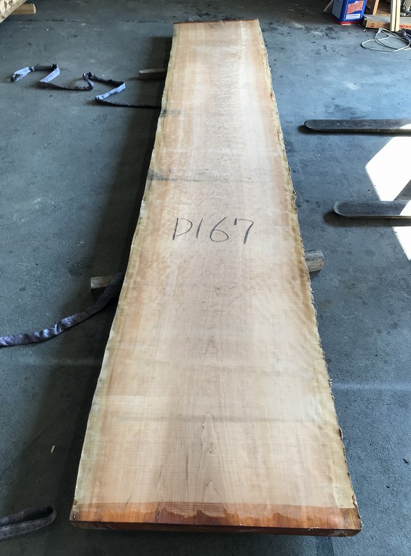 3707D167