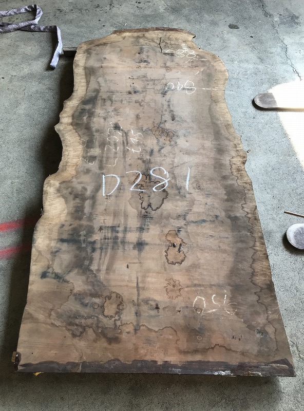 3707D281