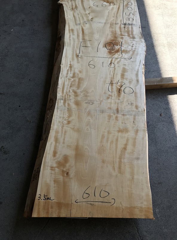 3707F101