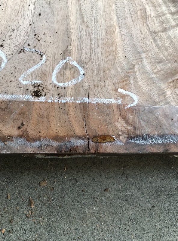 3707F46
