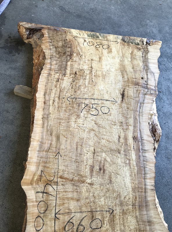 3707F67