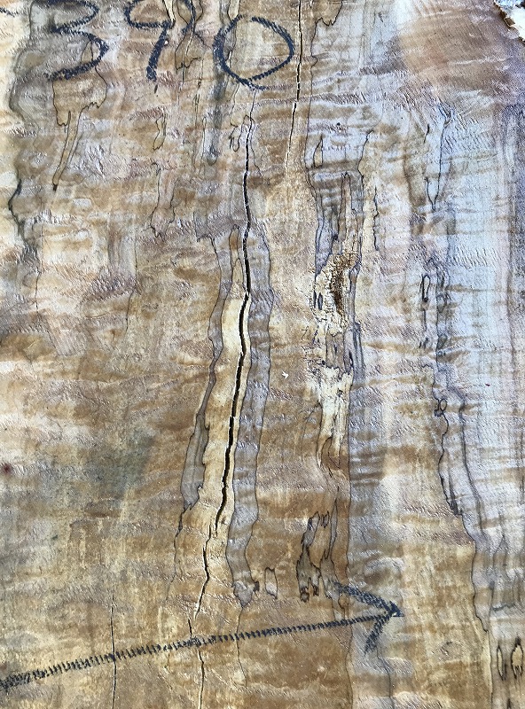 3707F69