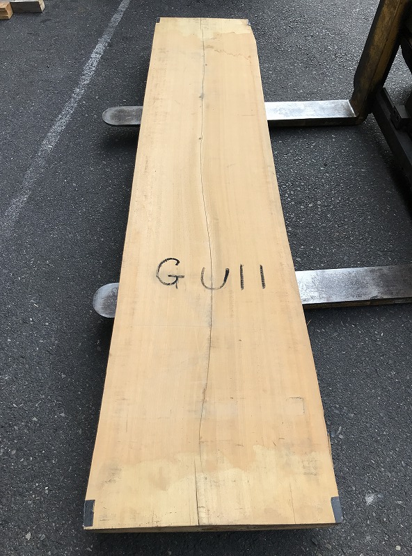 3707GU11