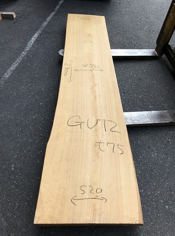 3707GU12