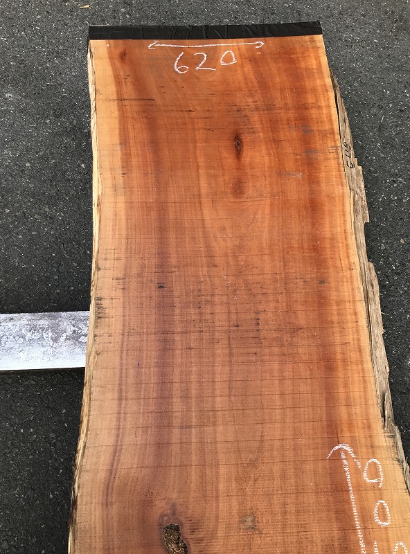 3707GU8