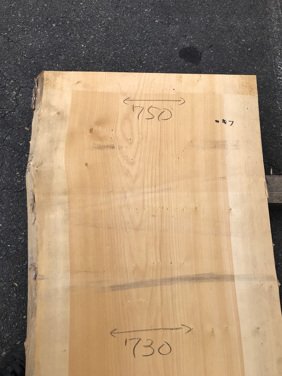 3710C305