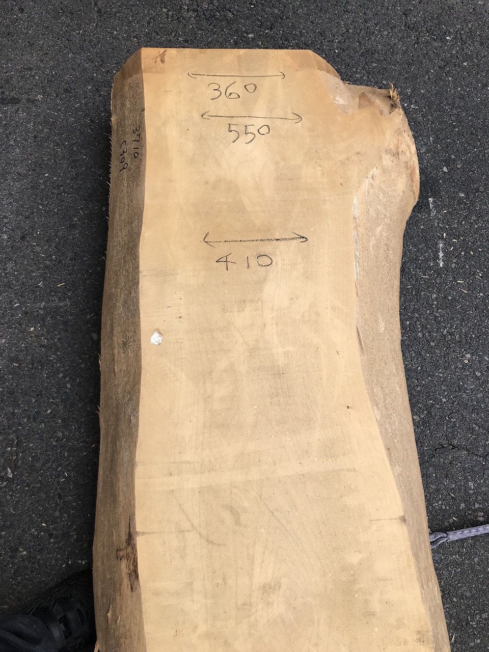 3710C309