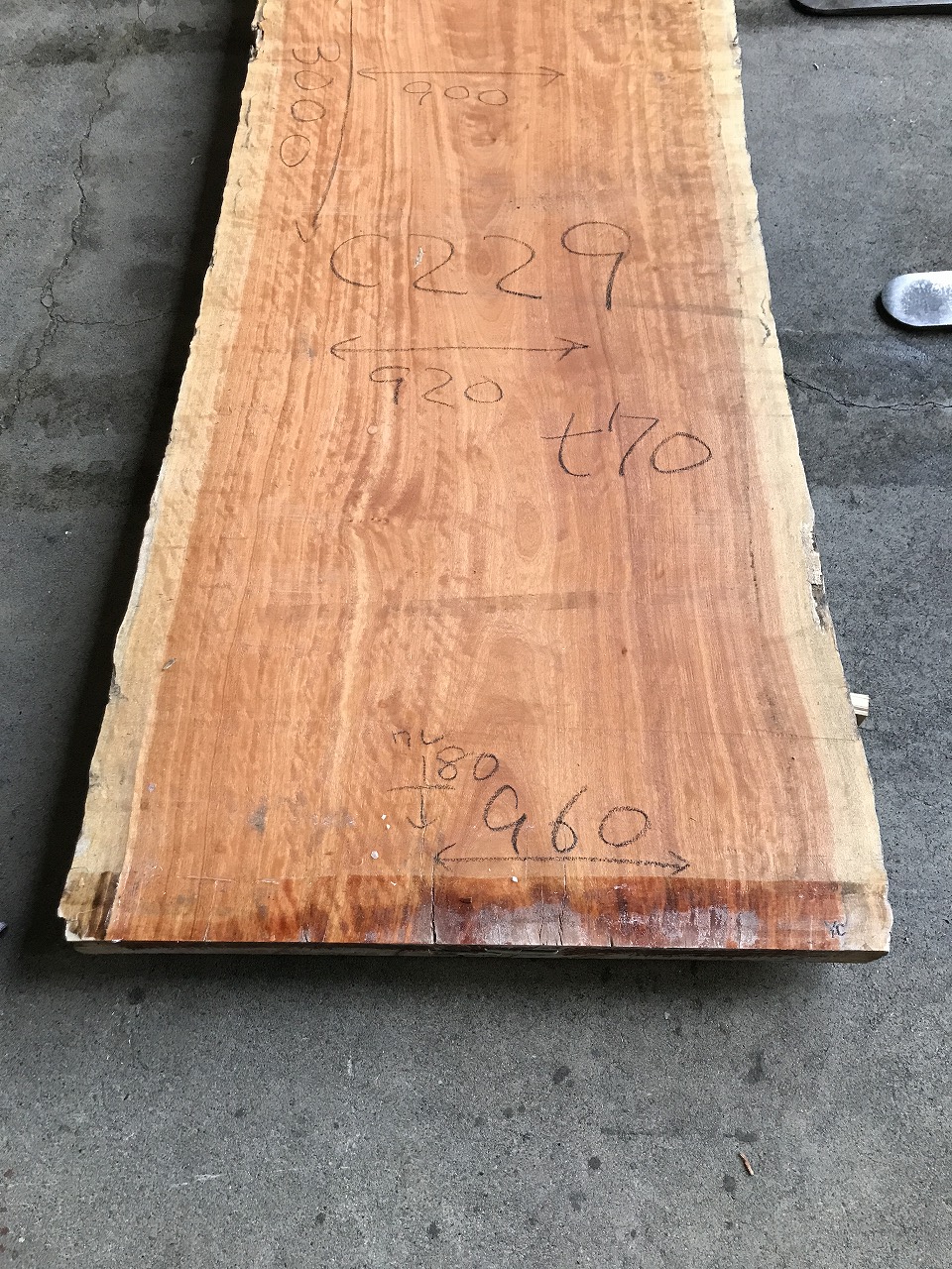3711C229