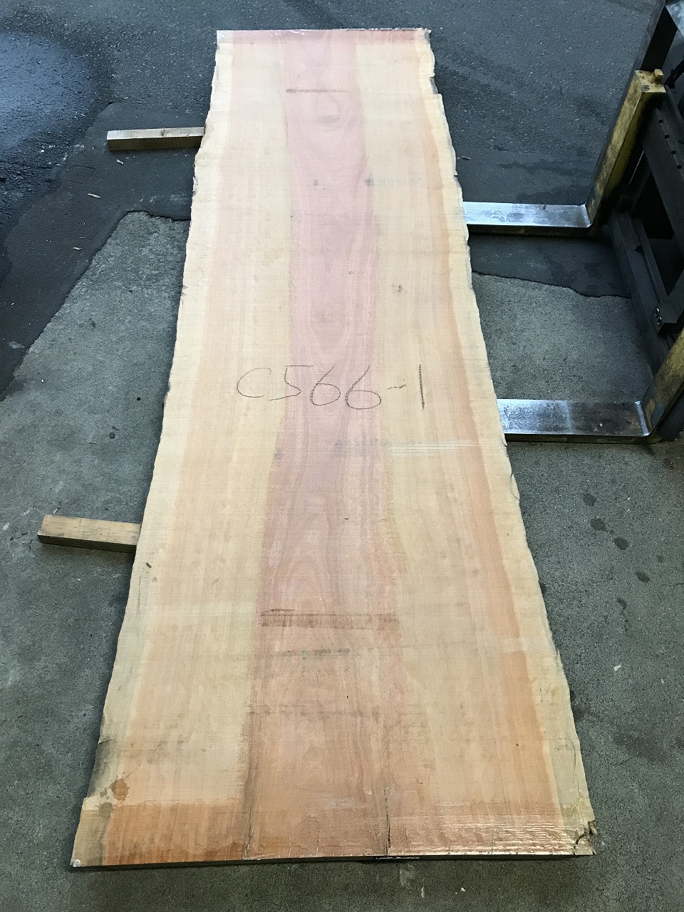 3711C566-1