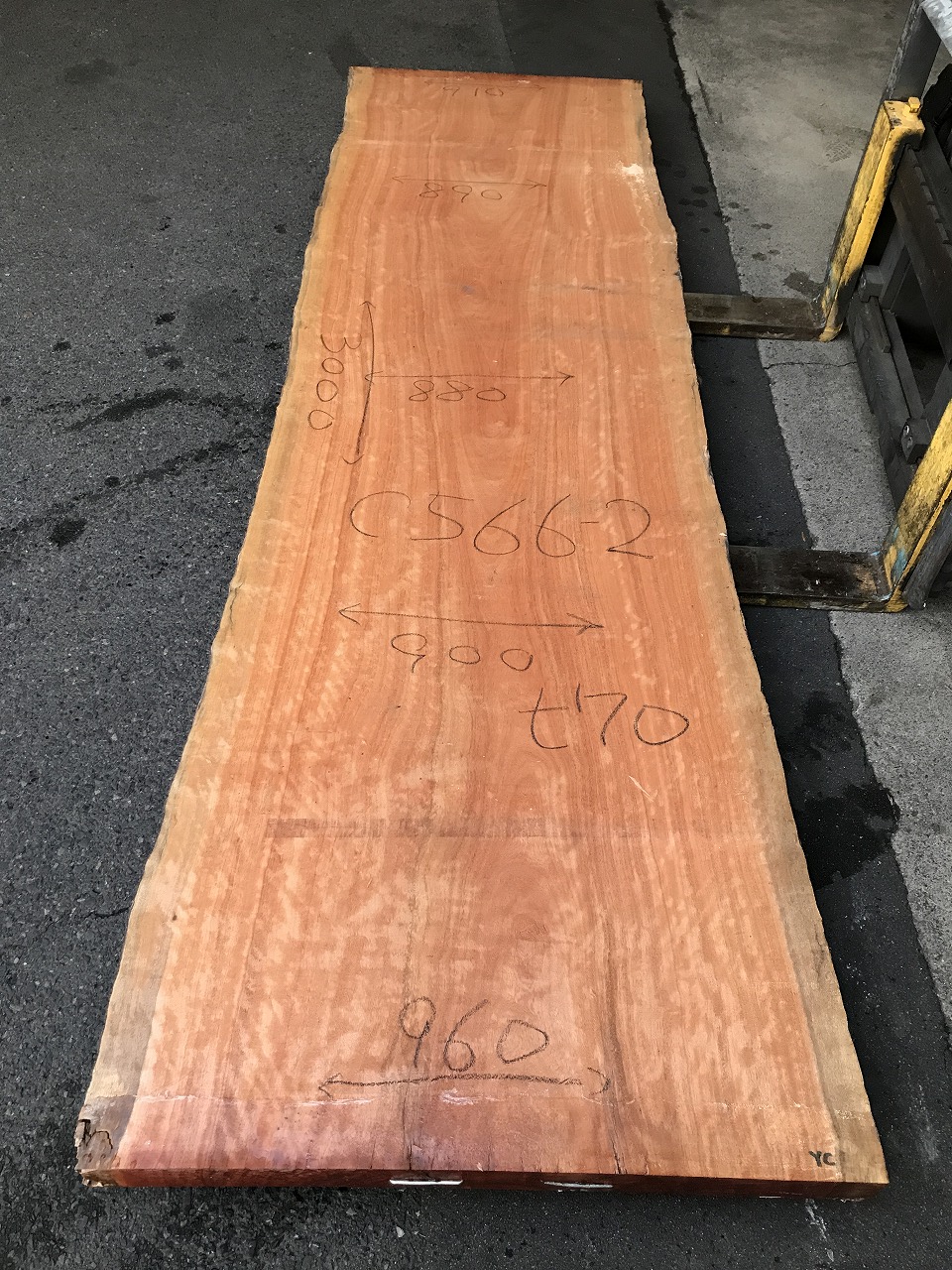 3711C566-2