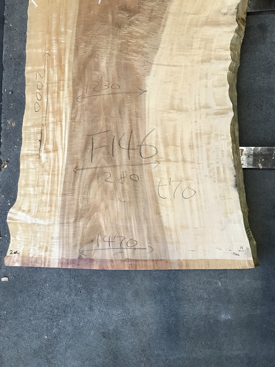 3711F146