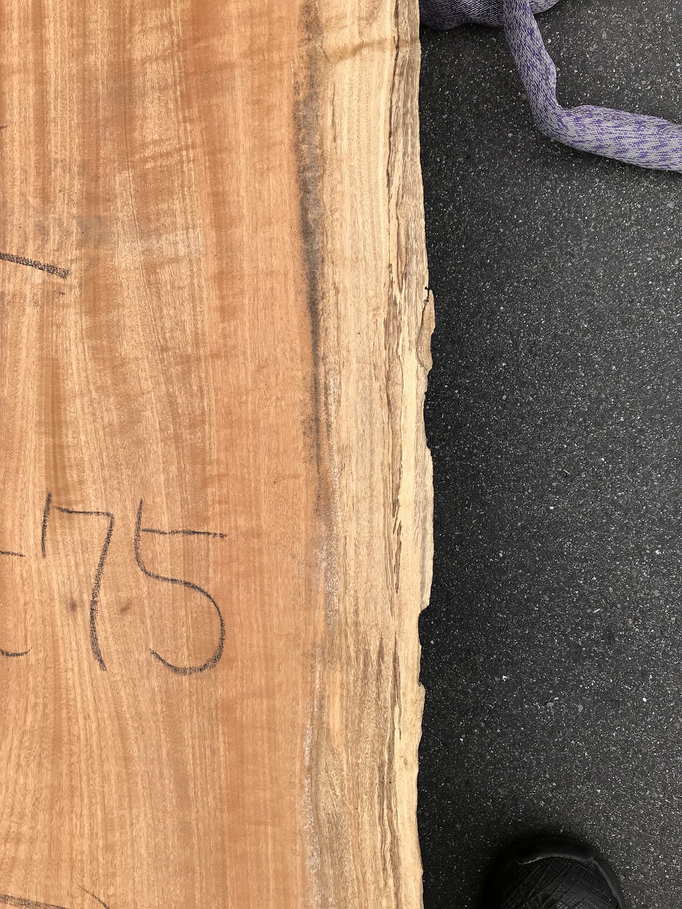 3711F94