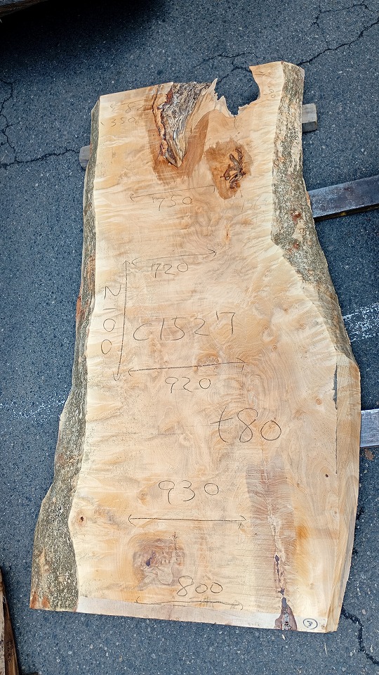 3804C1527